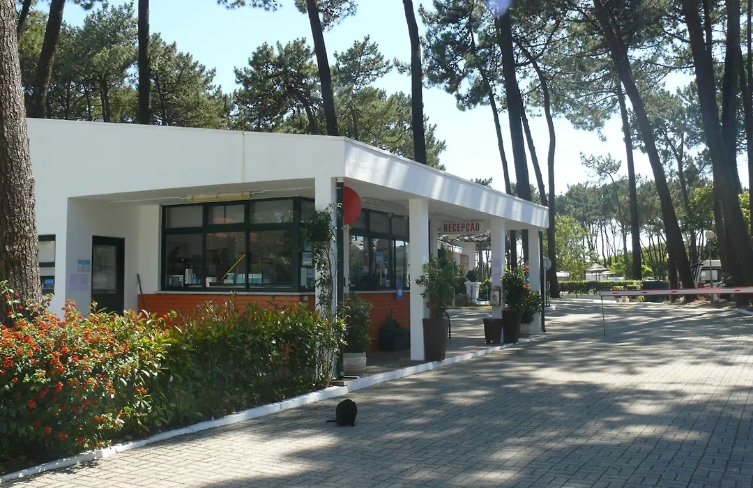 Parque De Campismo Orbitur Viana Do Castelo-1
